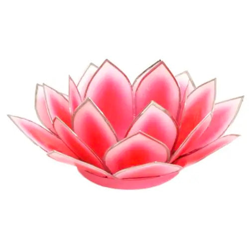 Dahlia Capiz Lotus Tea Light Holder - Pink